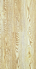 TS004