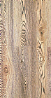 TS001